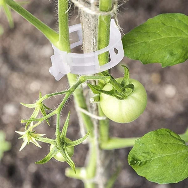 💥2024 Hot Sale 49% OFF💥 Guaranteed Plastic Plant Clips (BUY 3 GET 2 FREE)
