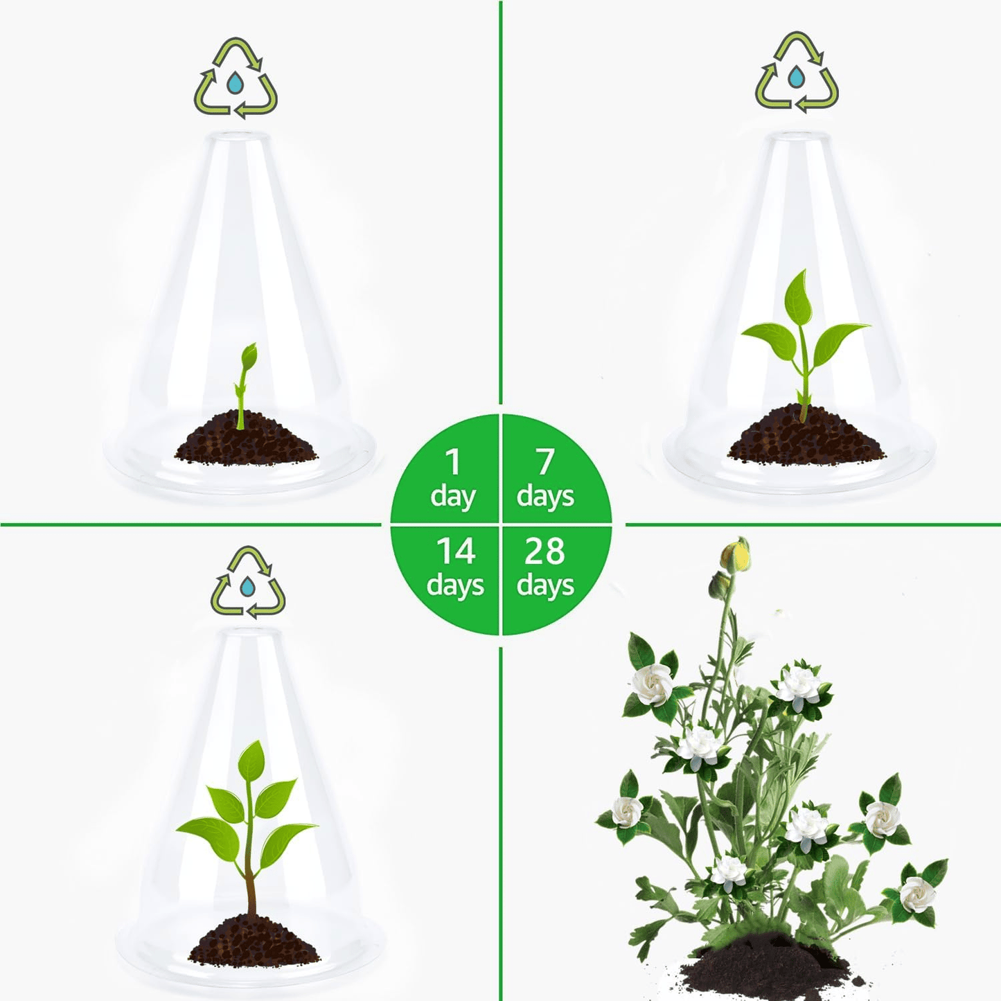 VitaliShade™ — Create a Cozy Shield That Sparks Unstoppable Plant Growth