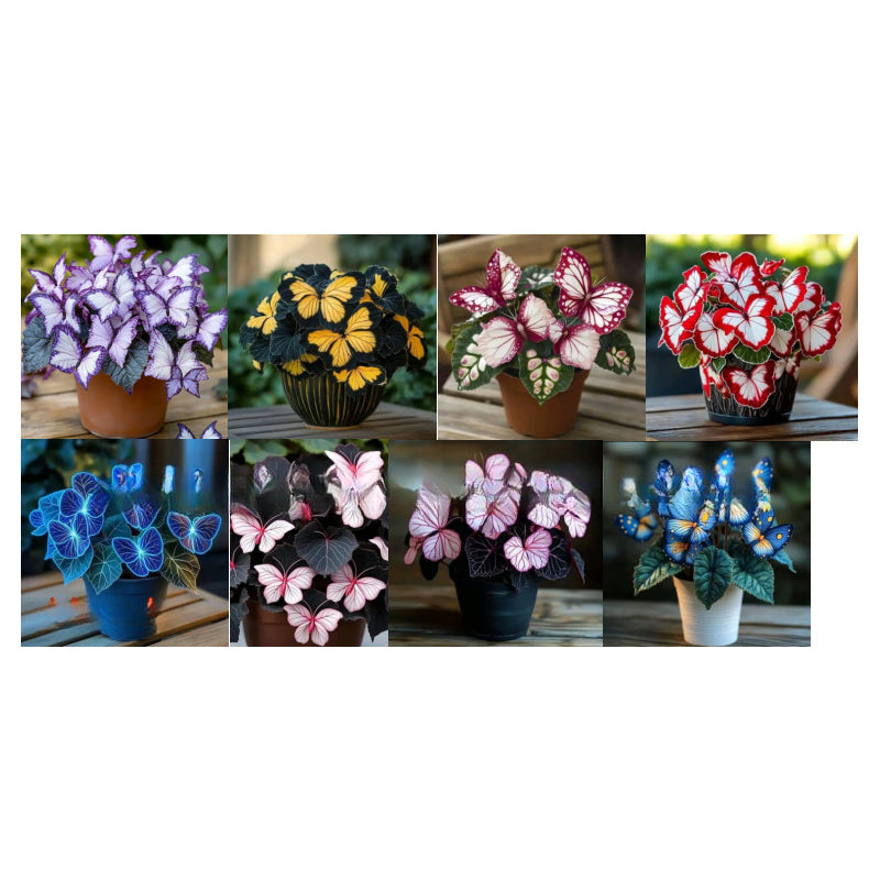 LunaWing™ Butterfly Bloom Seeds — Watch Your Garden Spark Magic with Stunning Butterfly Blooms