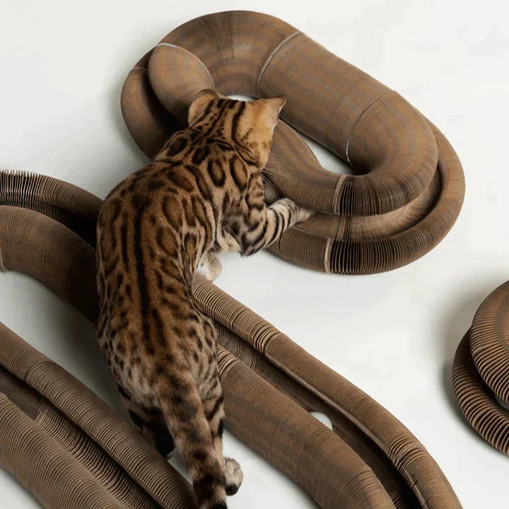 Mao-Wow™ — Ignite Playtime, Boost Cat Health | 50% Off