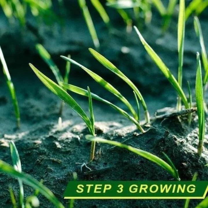 EarthBlade™ — Transform Your Lawn Into an Instant Showstopper That Demands Attention