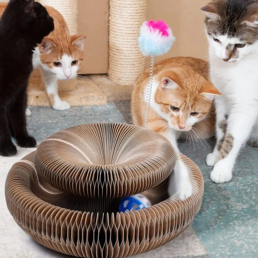 PetStory™ — Protect Furniture, Delight Your Cat | 50% Off