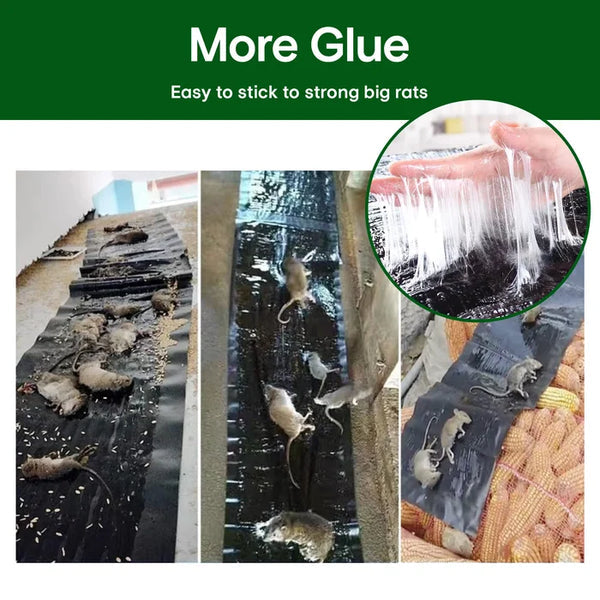 Extra-large adhesive mousetrap