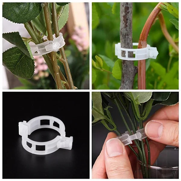 💥2024 Hot Sale 49% OFF💥 Guaranteed Plastic Plant Clips (BUY 3 GET 2 FREE)