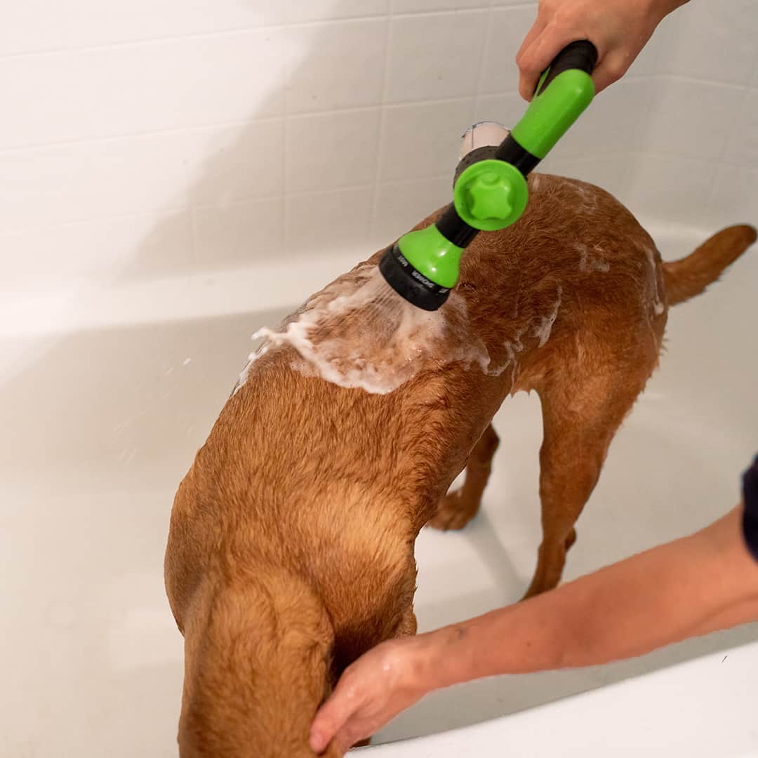 HydroHound™ — Turn Bath Time Into a Calm, Splash-Free Bonding Moment