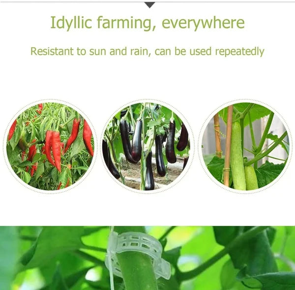 💥2024 Hot Sale 49% OFF💥 Guaranteed Plastic Plant Clips (BUY 3 GET 2 FREE)