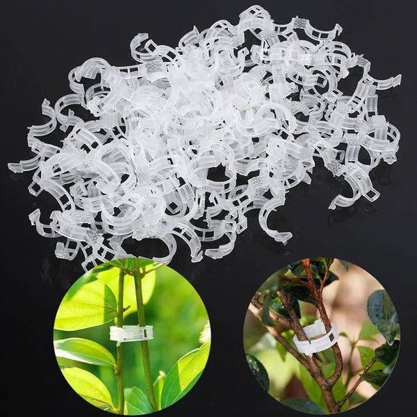💥2024 Hot Sale 49% OFF💥 Guaranteed Plastic Plant Clips (BUY 3 GET 2 FREE)