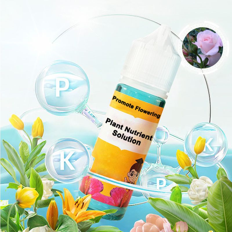 FloraLux™ — Ignite Explosive Blooms That Captivate Every Eye