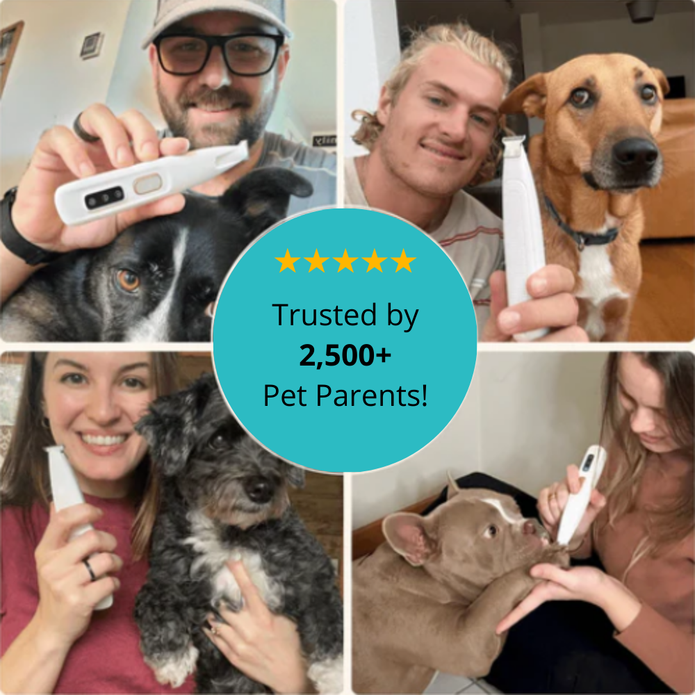 ZUFFI™ Trimmer — Groom with Precision and Confidence | 50% Off