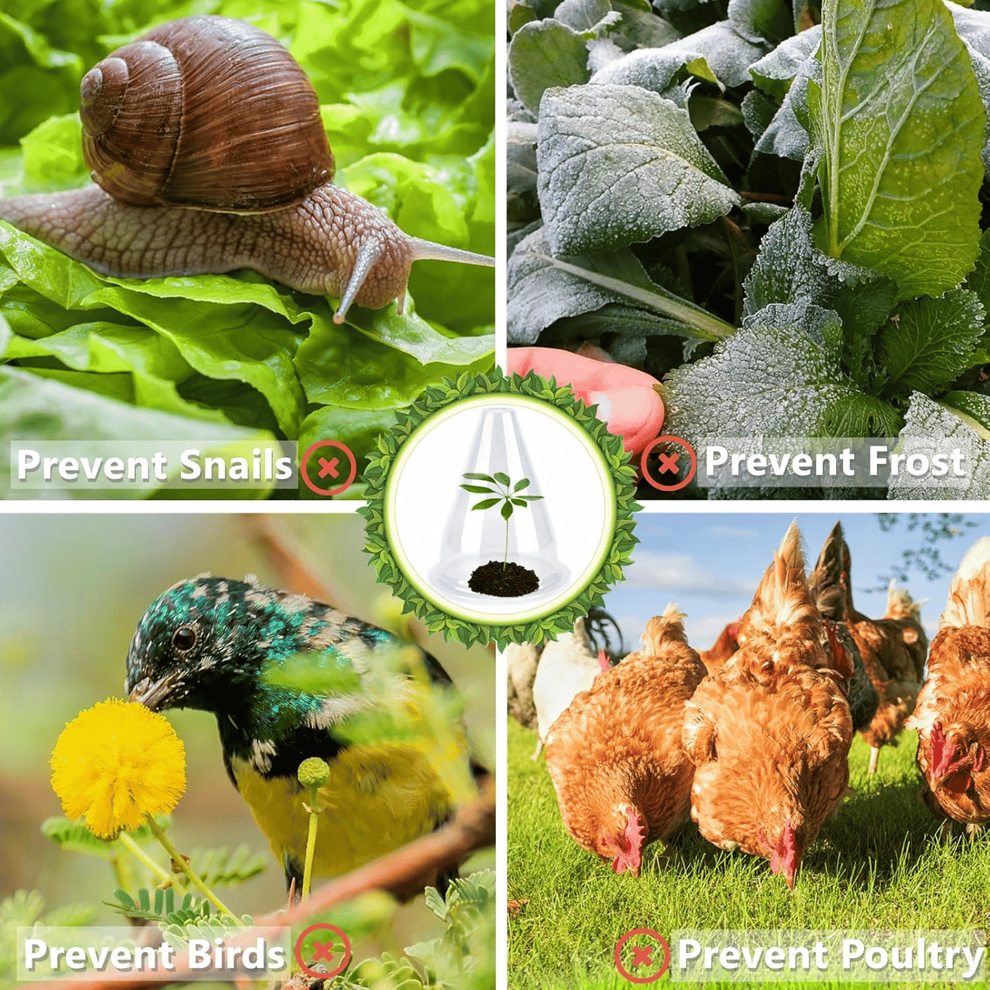 VitaliShade™ — Create a Cozy Shield That Sparks Unstoppable Plant Growth