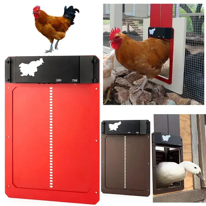 Automatic Chicken Coop Door - Predator-Proof, Weather-Resistant with Simple Installation