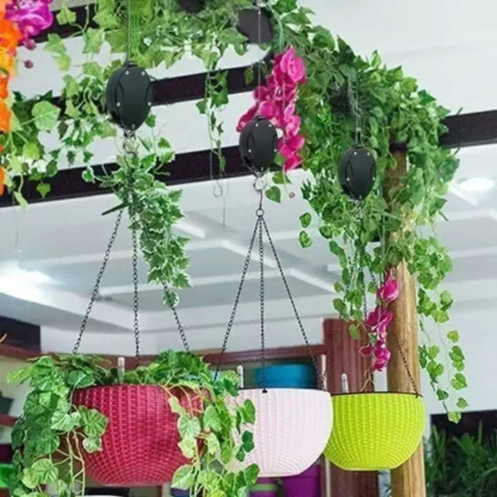 2+2 Free | Elegant Plant Hanging Set for Your Home Decor