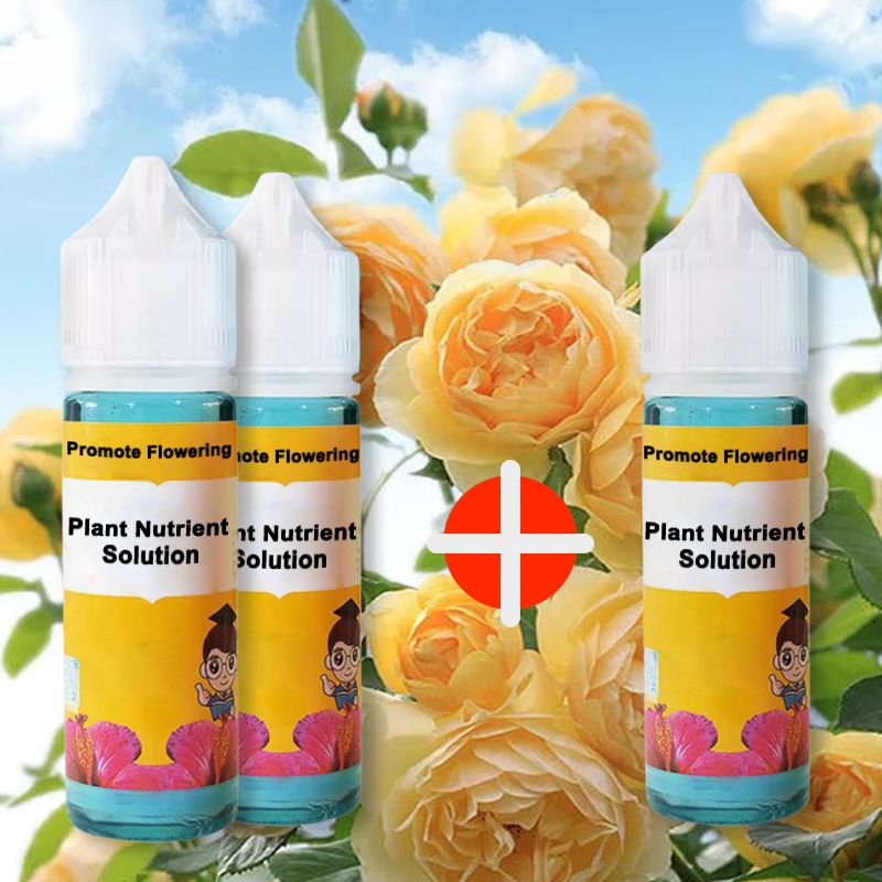 FloraLux™ — Ignite Explosive Blooms That Captivate Every Eye