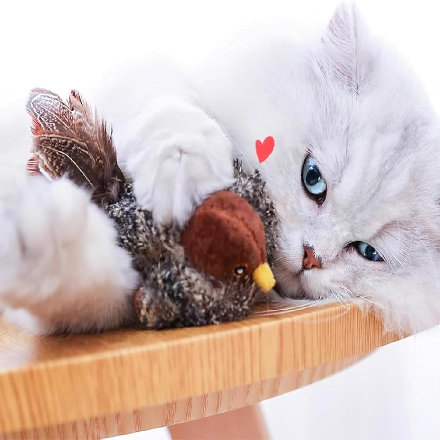 PredaPurr | Awaken your cat's wild instinct!