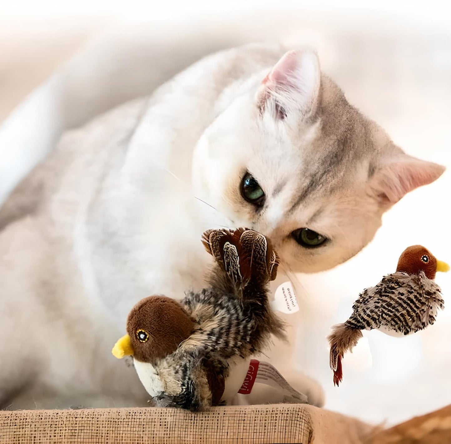 PredaPurr | Awaken your cat's wild instinct!