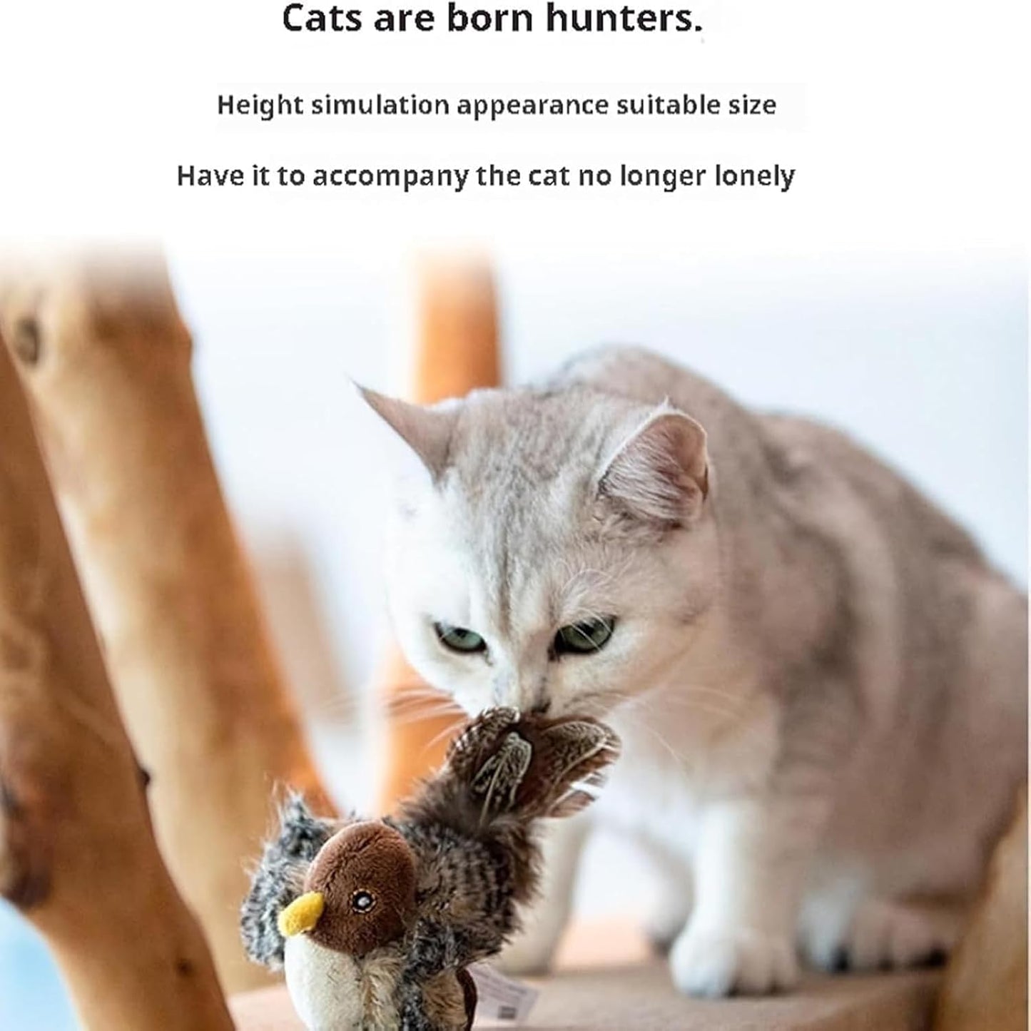 PredaPurr | Awaken your cat's wild instinct!