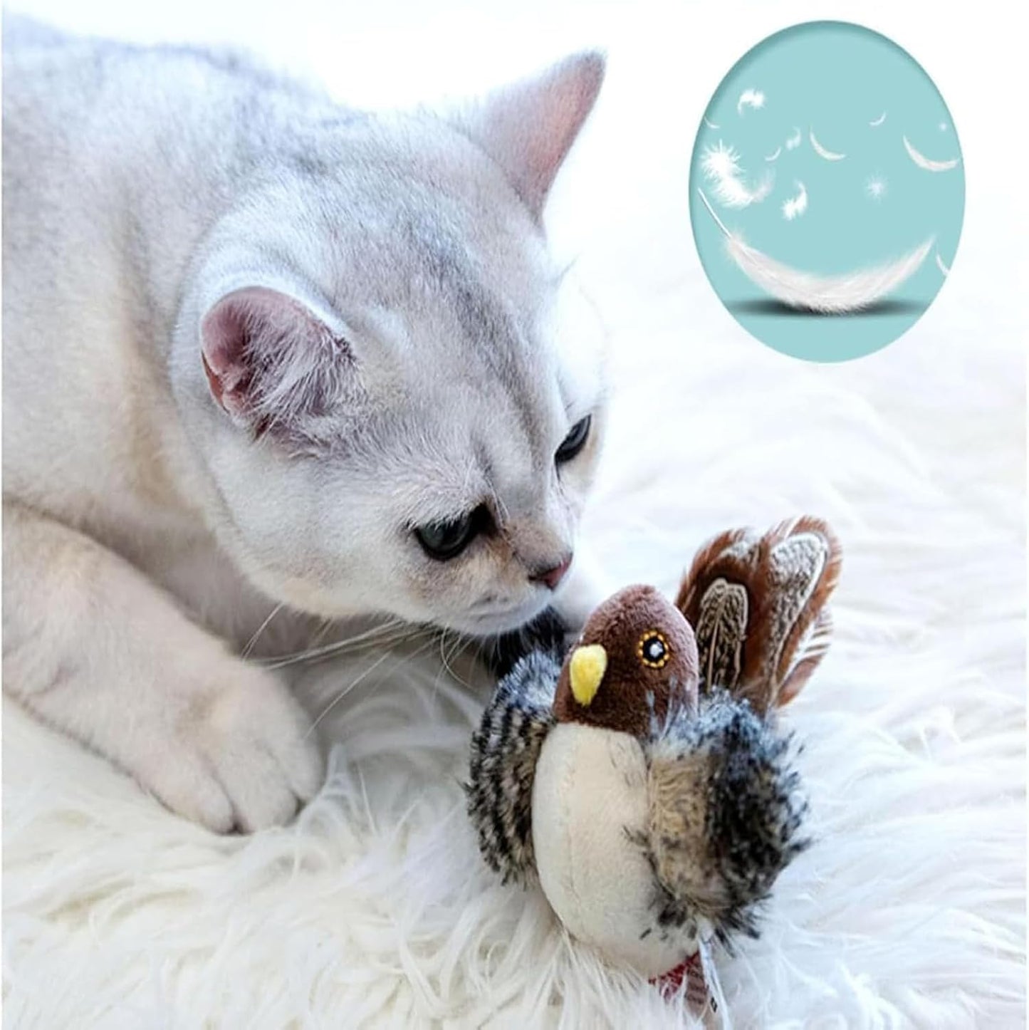 PredaPurr | Awaken your cat's wild instinct!