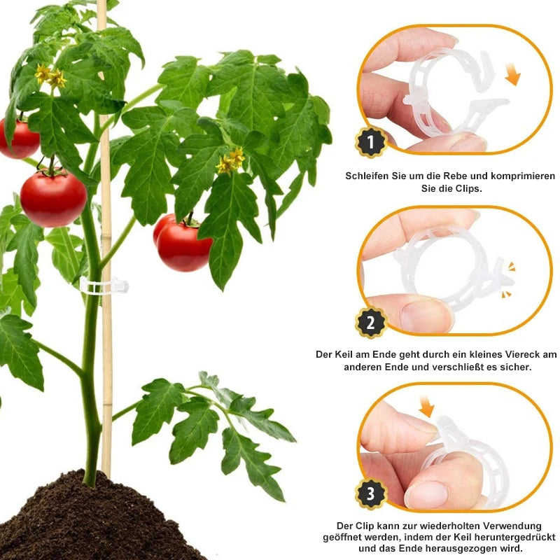 💥2024 Hot Sale 49% OFF💥 Guaranteed Plastic Plant Clips (BUY 3 GET 2 FREE)