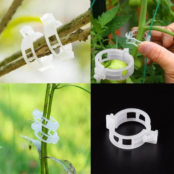 💥2024 Hot Sale 49% OFF💥 Guaranteed Plastic Plant Clips (BUY 3 GET 2 FREE)