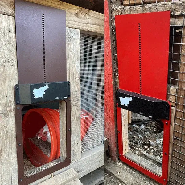 Automatic Chicken Coop Door - Predator-Proof, Weather-Resistant with Simple Installation