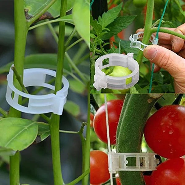 💥2024 Hot Sale 49% OFF💥 Guaranteed Plastic Plant Clips (BUY 3 GET 2 FREE)
