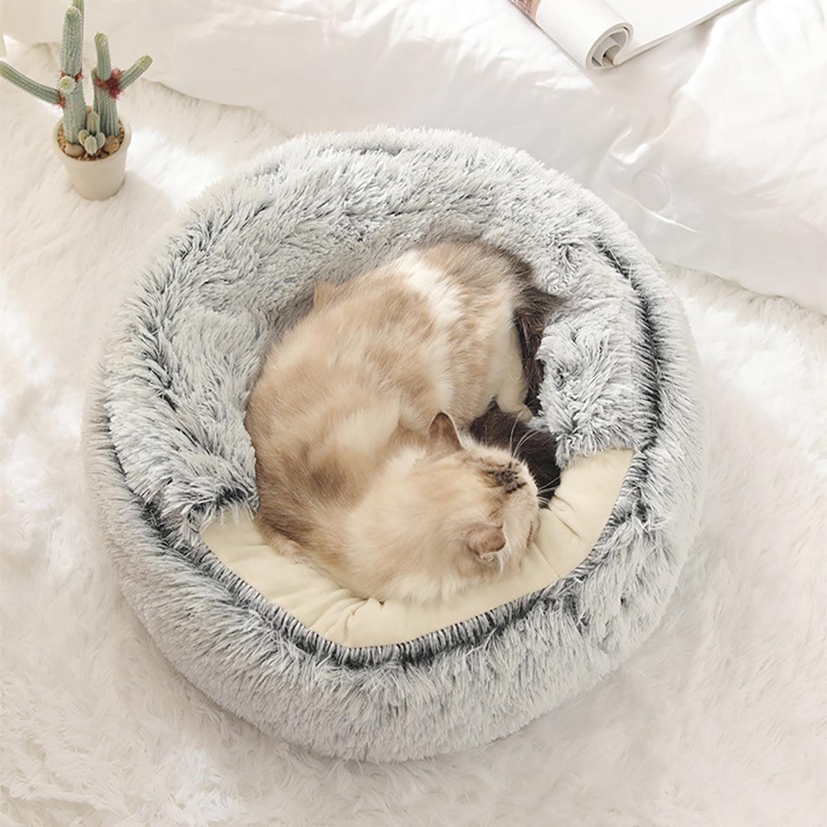 Snugpaws™ — Cozy Calm for Anxious Pets | 50% Off