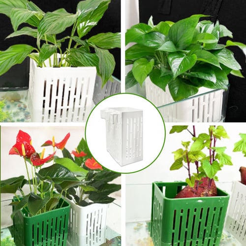 1+1 FREE | AquaHanger™ Advanced Hydroponic Design