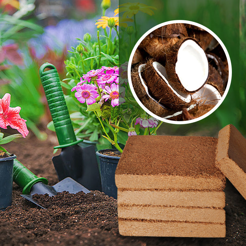 EverRoot™ Organic Coconut Coir — Ignite Radical Growth with Oxygen-Rich, Moisture-Locked Roots