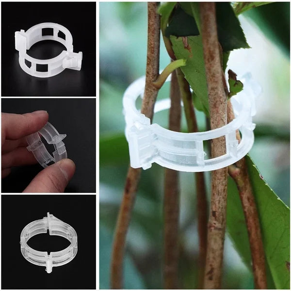 💥2024 Hot Sale 49% OFF💥 Guaranteed Plastic Plant Clips (BUY 3 GET 2 FREE)