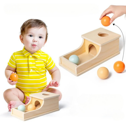LittleGenius | Enhancing Cognitive Development