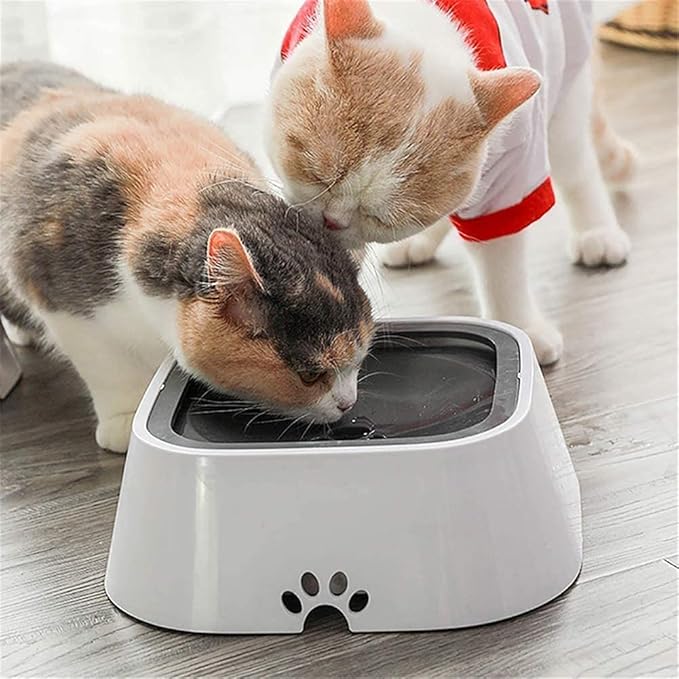 HydroHush™ — Keep Floors Dry and Pets Calm with Every Splash-Free Sip
