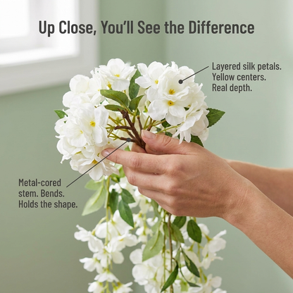 VeloraBloom™ — Dress Empty Walls and Balconies with Rich Cascading Blossoms