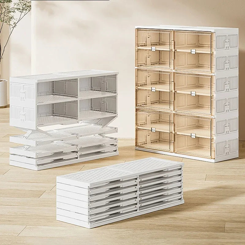 Intelligent Shoe Organizer