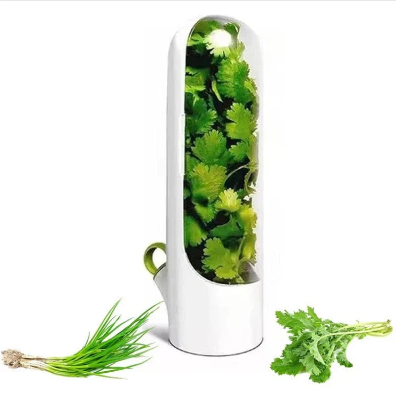 Verdantia™ — Keep Your Herbs Fresh, Flavorful, and Ready to Elevate Every Meal