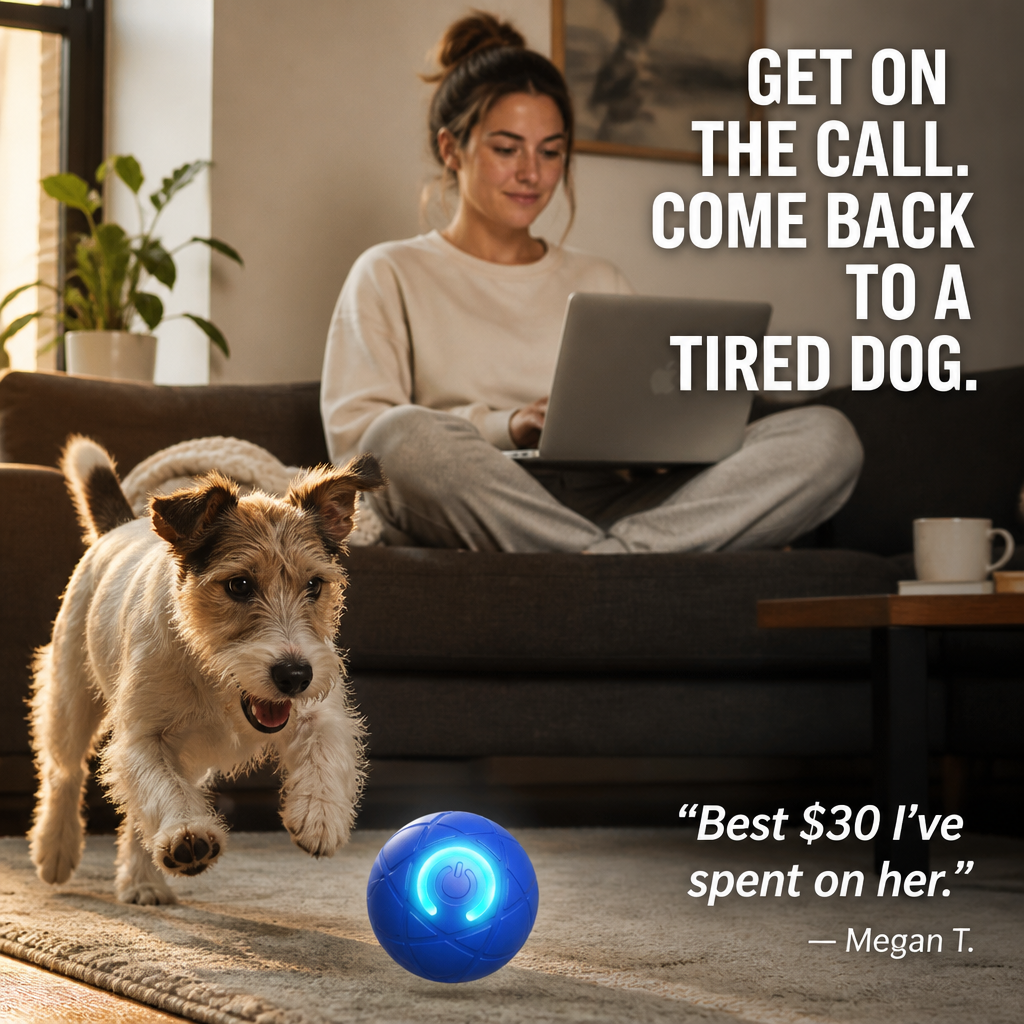 DashRoll™ — Tire Out Your Dog’s Energy Hands-Free While You Work
