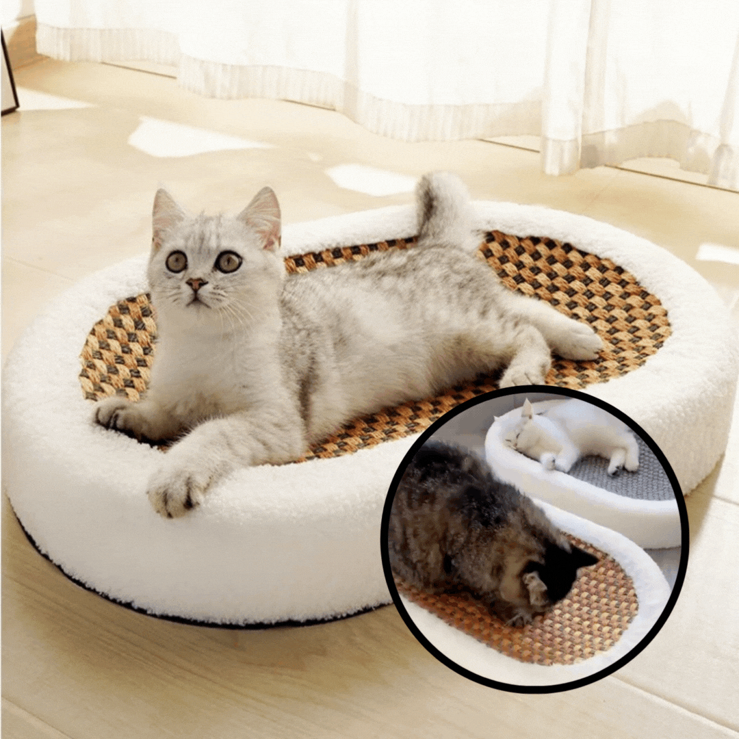 50% Discount | Cat Scratch Lounge™ - Plush Bed with Scratchable Surface for Cats