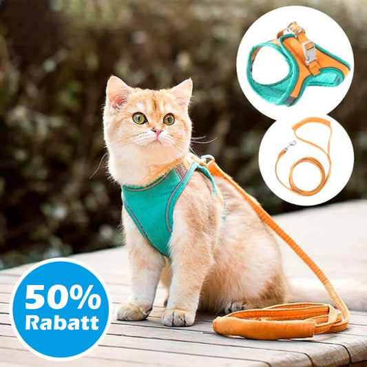 RamoraStride™ — Let Your Cat Explore Freely with Comfort and Nighttime Safety