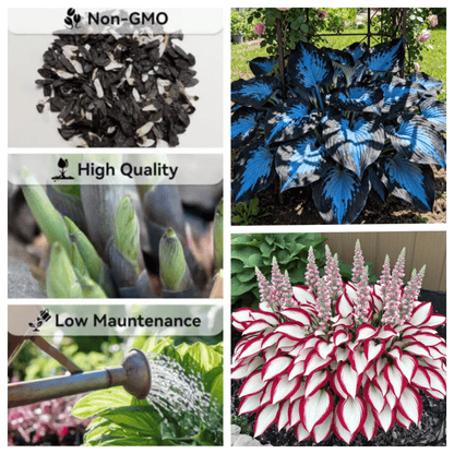 ShadePulse™ — Revive Every Shadow with Effortless, Vibrant Garden Life