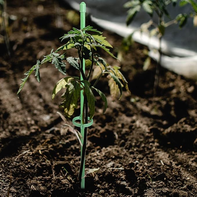 GrowSteady™ — Unshakable Support That Grows Your Garden Into a Lush Powerhouse
