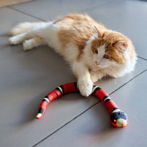 SlitherPaws™ — Unleash Your Cat’s Wild Chase and Endless Energy