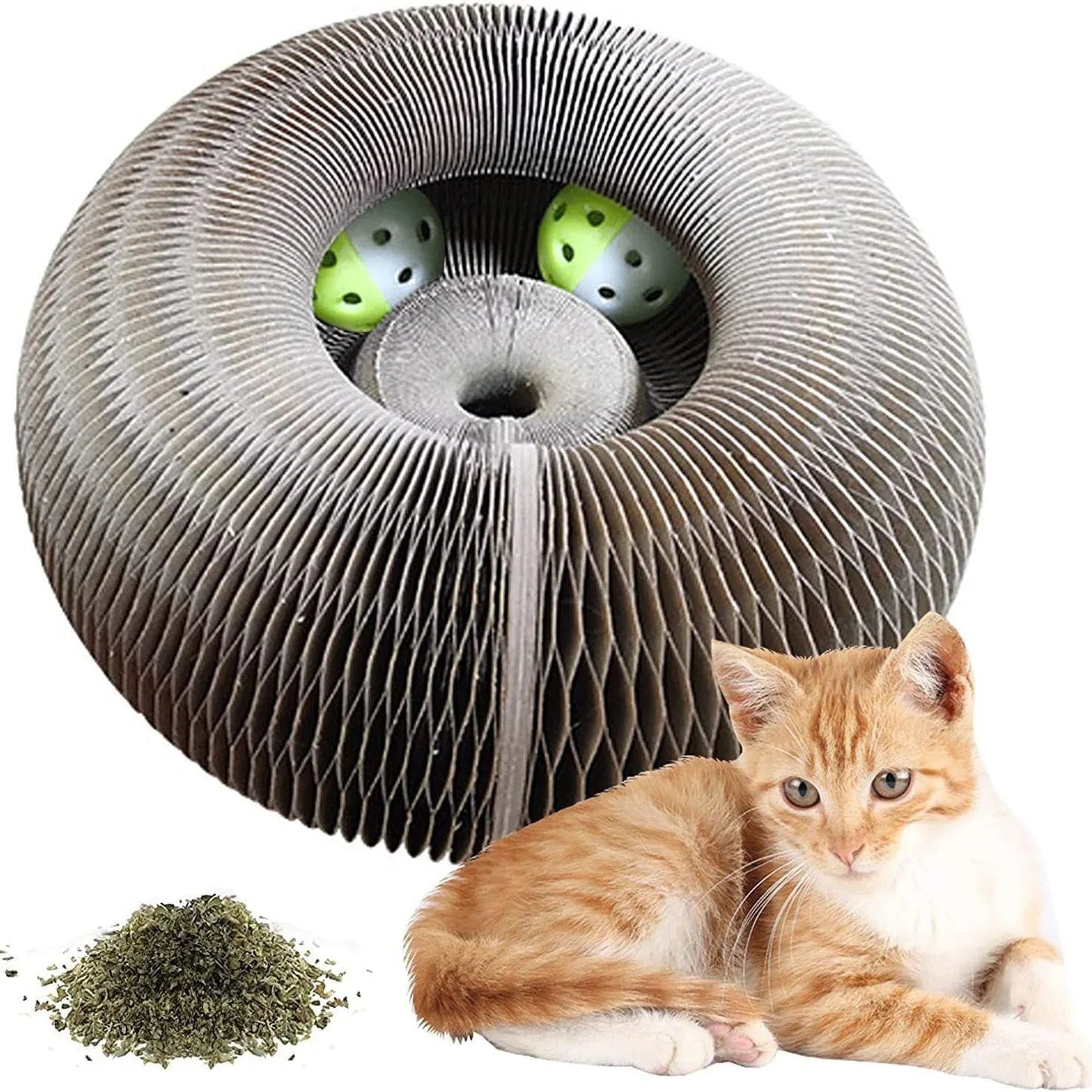 PurrPlay™ | Versatile Entertainment for Joyful Kittens