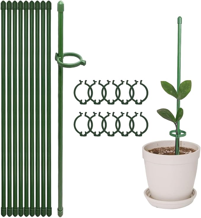 GrowSteady™ — Unshakable Support That Grows Your Garden Into a Lush Powerhouse