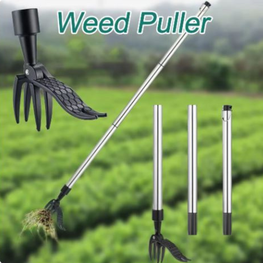 OxiWeed™ — Effortless Weed Control That Saves Your Back and Energizes Your Garden