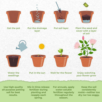 MoonPaw™ Blooms — Transform Your Garden Into a Joyful, Whimsical Paradise
