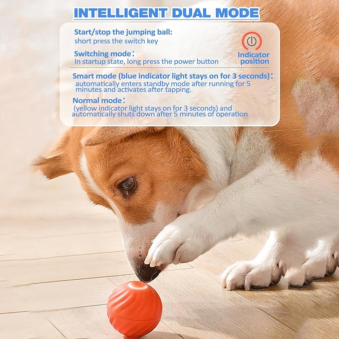 SparkTail™ — Ignite Your Dog’s Wild Instincts with Endless Thrills and Nonstop Fun