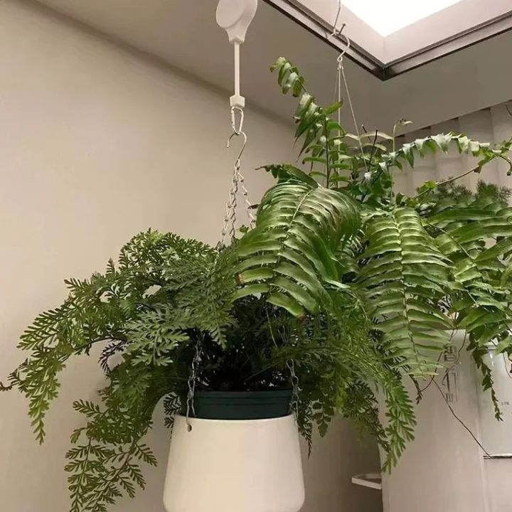 EasyLift™ — Effortless Plant Care Made Simple | 2+2 Free