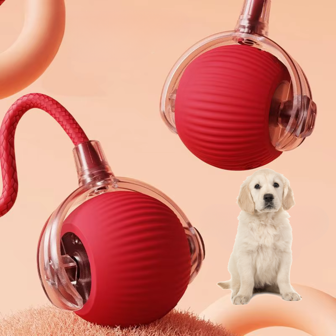 TurboTug™ — Unleash Every Dog’s Wild Energy and Ignite Joyful, Jaw-Dropping Playtime