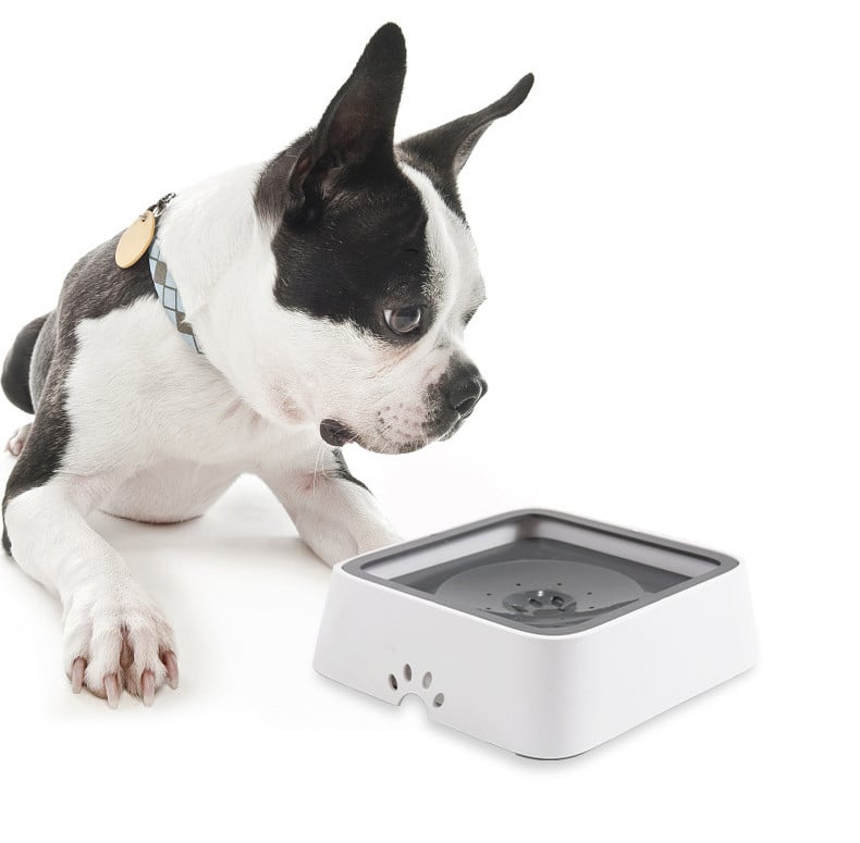 HydroHush™ — Keep Floors Dry and Pets Calm with Every Splash-Free Sip