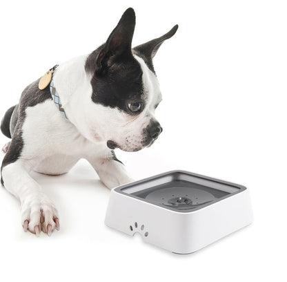 HydroHush™ — Keep Floors Dry and Pets Calm with Every Splash-Free Sip