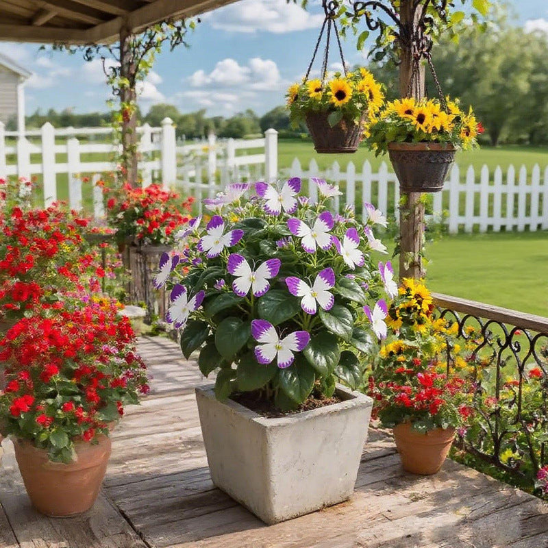 LunaWing™ Butterfly Bloom Seeds — Watch Your Garden Spark Magic with Stunning Butterfly Blooms